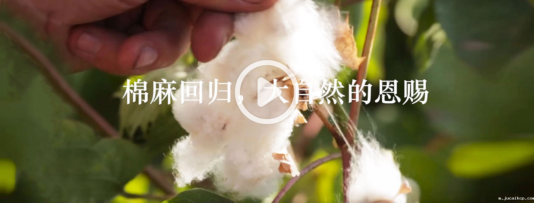 jucaikcp：棉麻回归