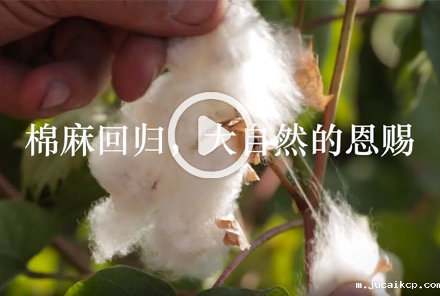jucaikcp：棉麻回归
