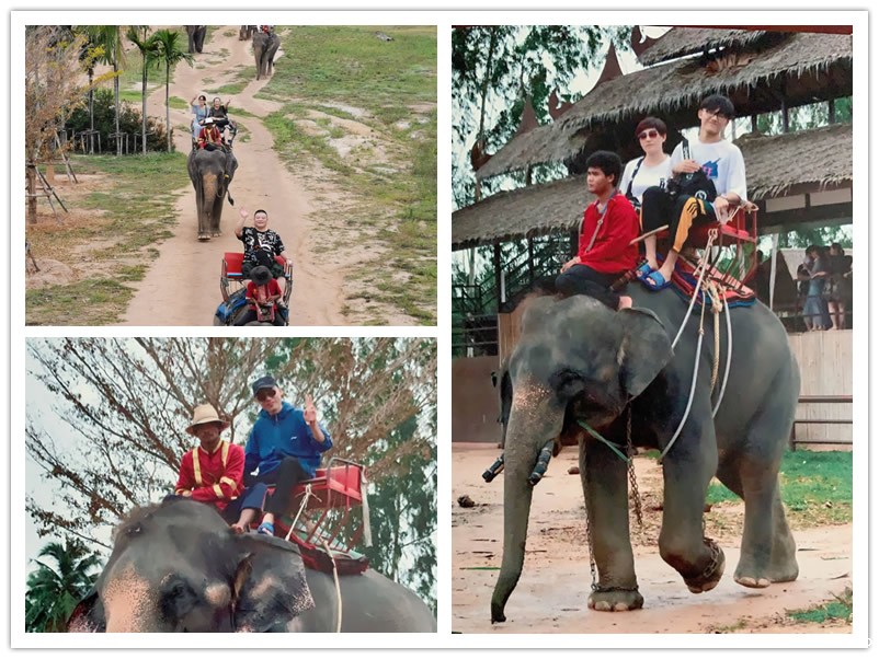 1568279891725212.jpg 13.jpg