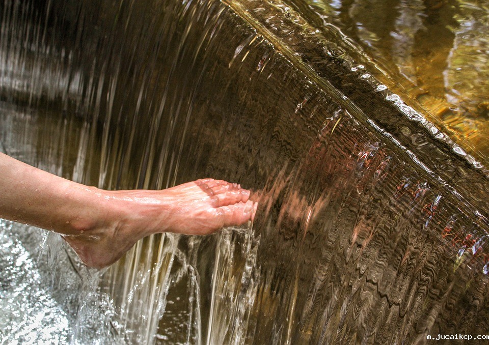 nature-3757554_960_720