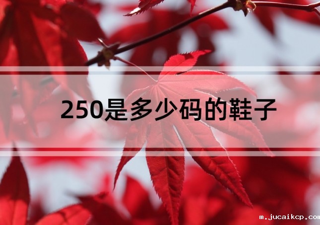  250是多少码的鞋子