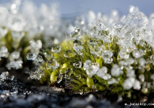 冬春过渡中年人穿鞋闷脚如何是好？什么鞋子保暖又透气？