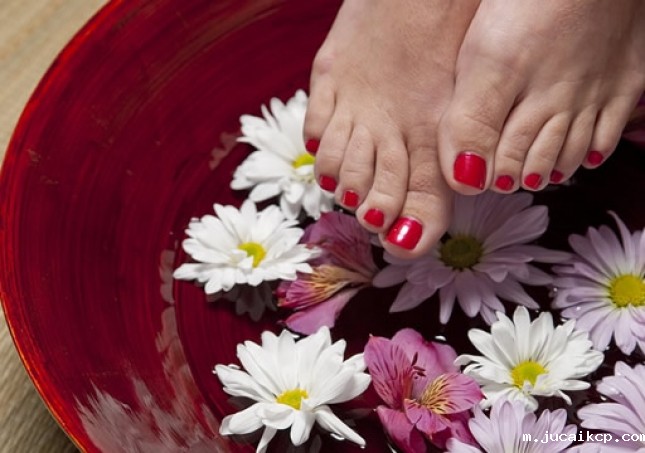 泡什么枸杞！还不如泡脚！